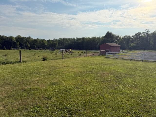 Whispering Hope Farm photo 6