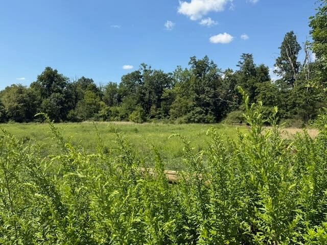 Whispering Hope Farm photo 4