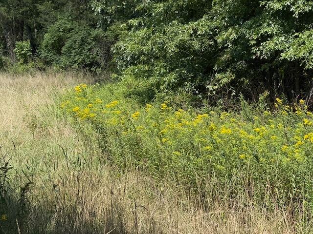 Whispering Hope Farm photo 5