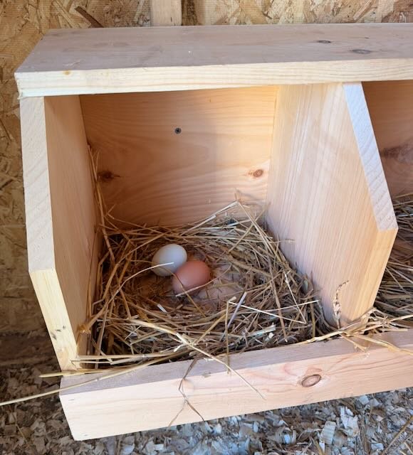 Whispering Hope Farm photo 3